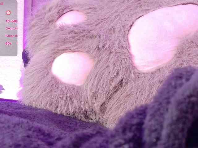 orchide-kitty webcam