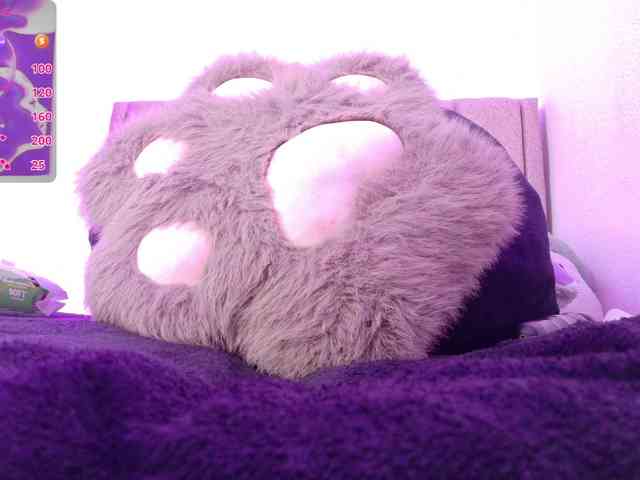 orchide-kitty webcam