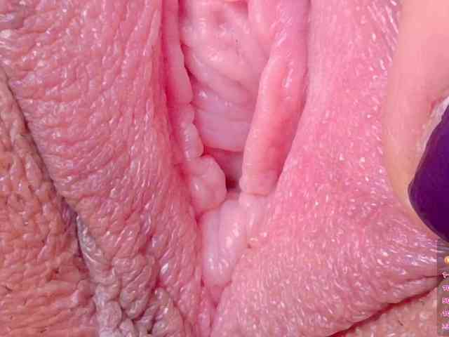 orchide-kitty webcam