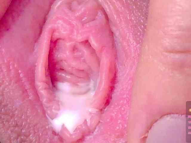 orchide-kitty webcam