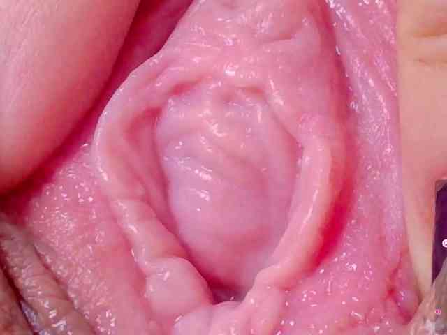 free online sex chat Orchide-kitty