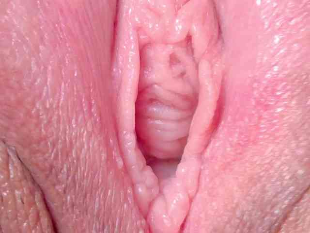 porn webcam Orchide-kitty