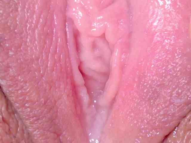 orchide-kitty webcam