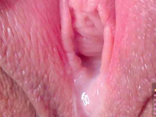 orchide-kitty webcam