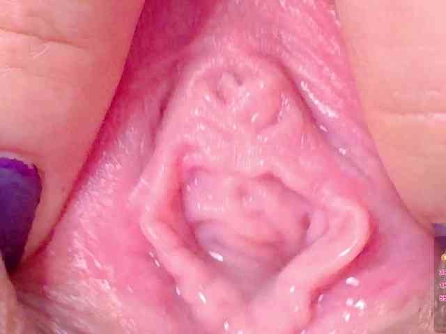 orchide-kitty webcam