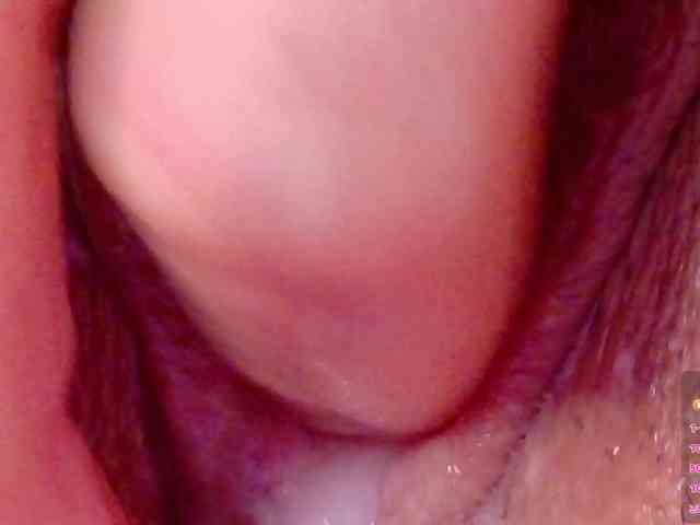 orchide-kitty webcam
