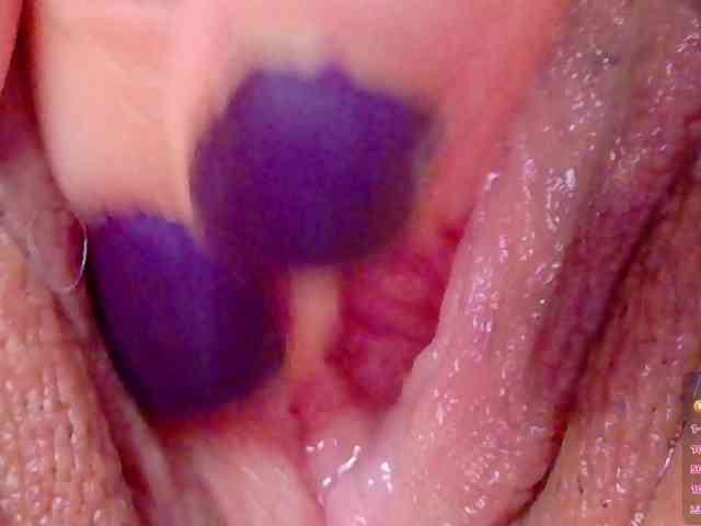 orchide-kitty webcam