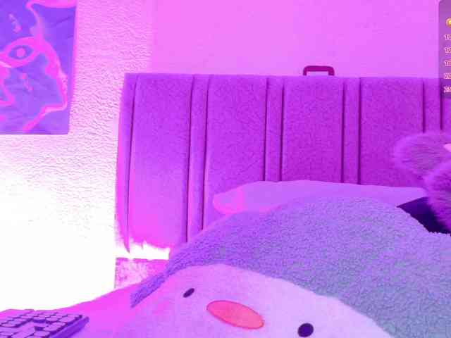 orchide-kitty webcam