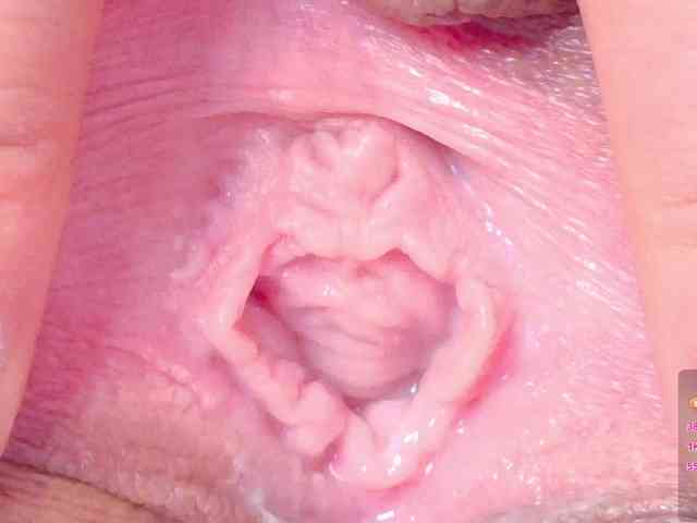 orchide-kitty webcam