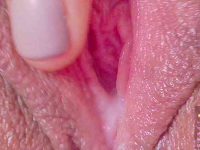 orchide-kitty webcam