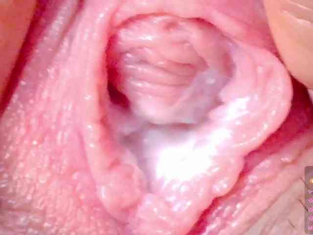 orchide-kitty webcam