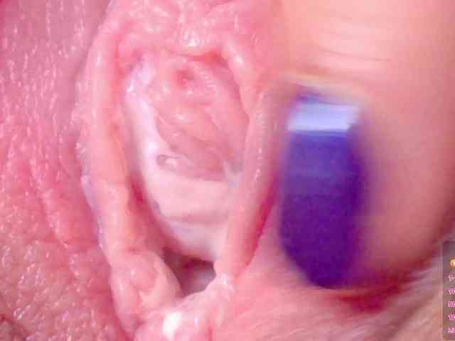 orchide-kitty webcam