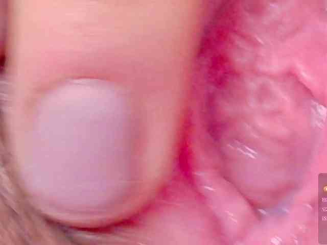 orchide-kitty webcam