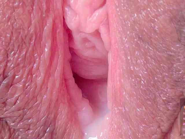 orchide-kitty webcam