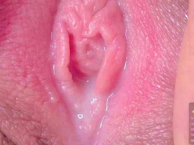 orchide-kitty webcam