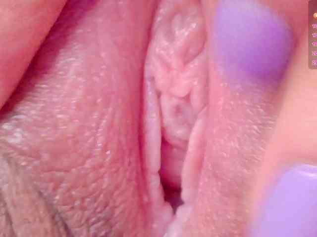 orchide-kitty webcam