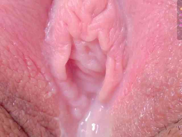 orchide-kitty webcam