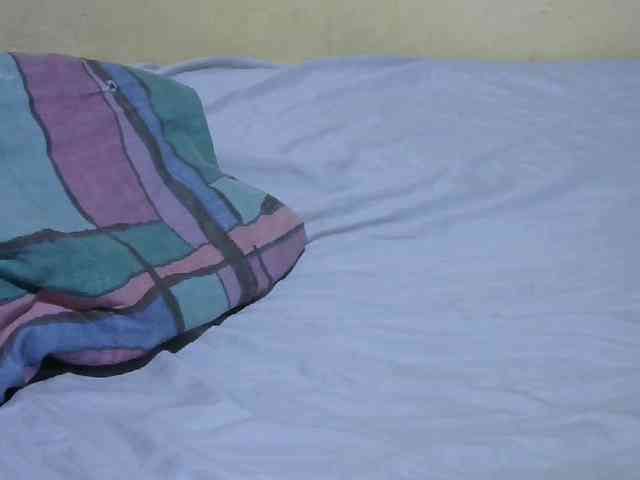 Leslie-villa webcam