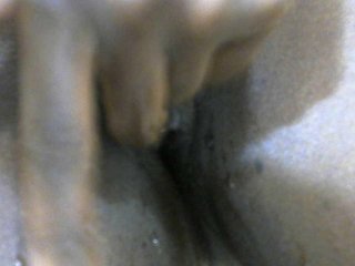 Sexyvilliet Porn Show
