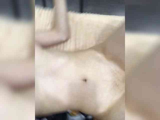 live cam feed -Megalodon1-