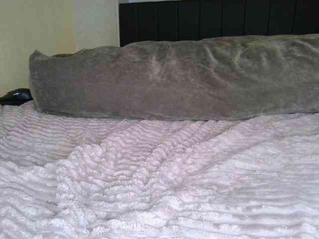 Adel0299 webcam