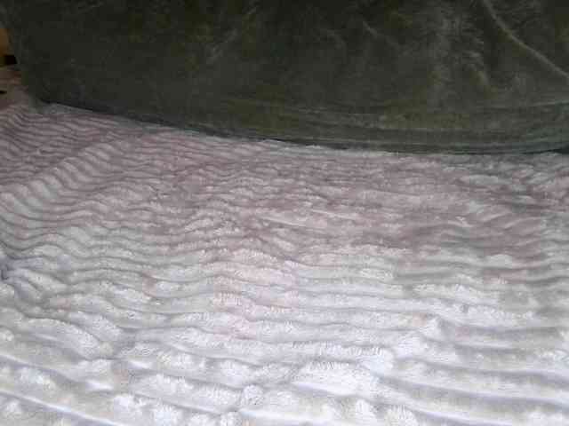 Adel0299 webcam