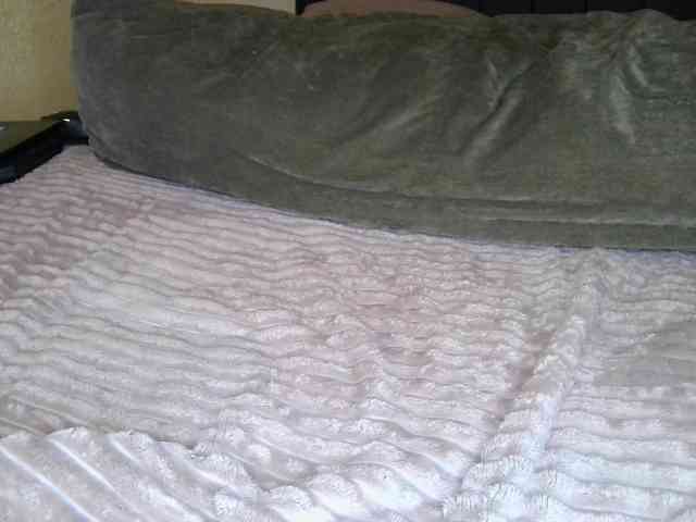 Adel0299 webcam