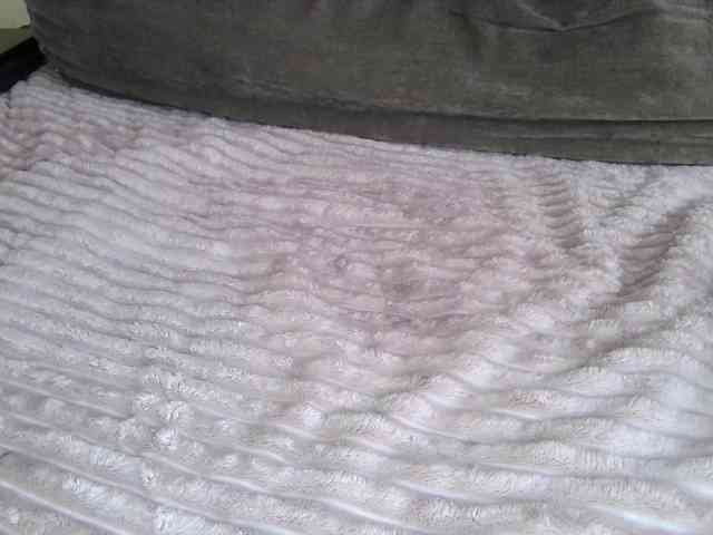 Adel0299 webcam