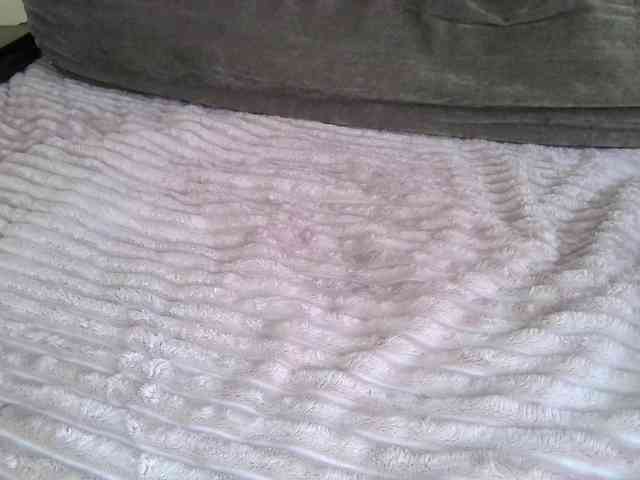 Adel0299 webcam
