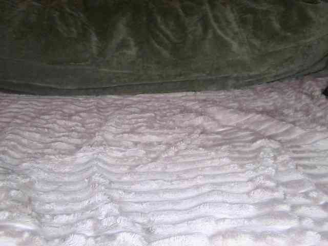 Adel0299 webcam