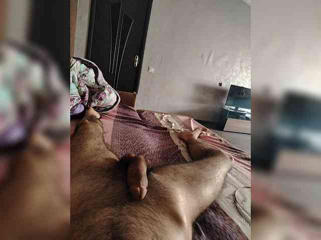 Lolikx