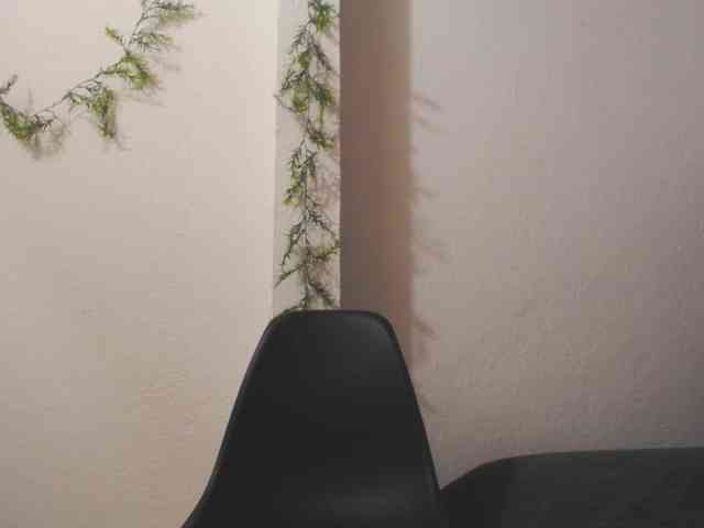 sharick-waltor webcam