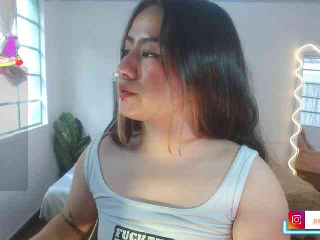 Pariis-tay webcam