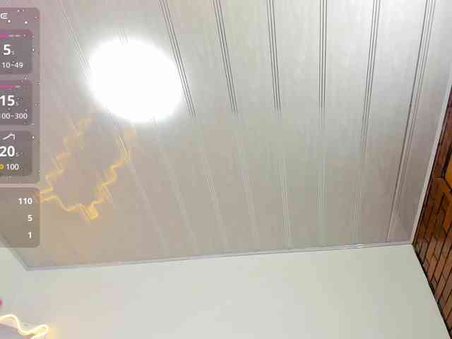 SAAYA-TAY webcam