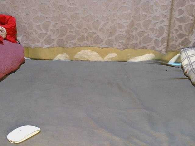 slim-girl01's BongaCams show and profile