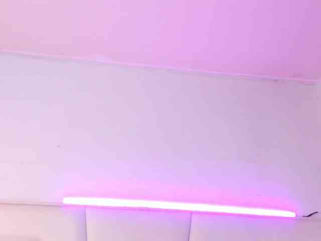 KimmySwettie webcam