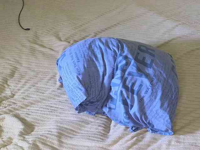 chat webcam sex M1awallace