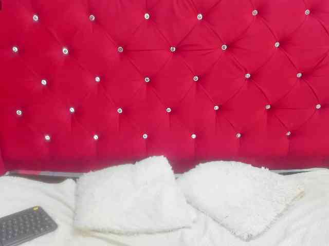 dulce-ls webcam