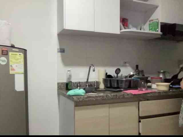 RevySadashiTrue webcam