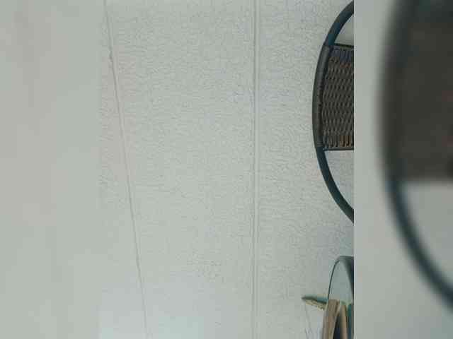 RevySadashiTrue RevySadashiTrue