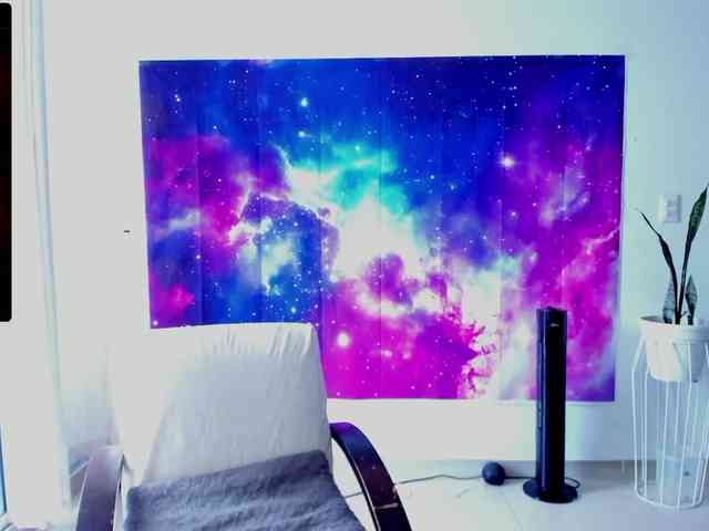RevySadashiTrue webcam