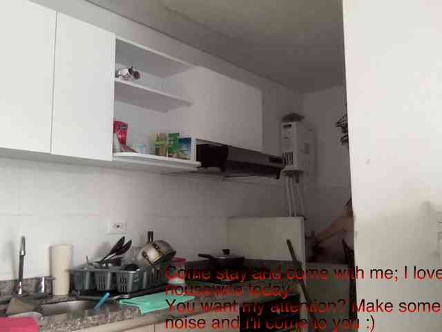 RevySadashiTrue webcam