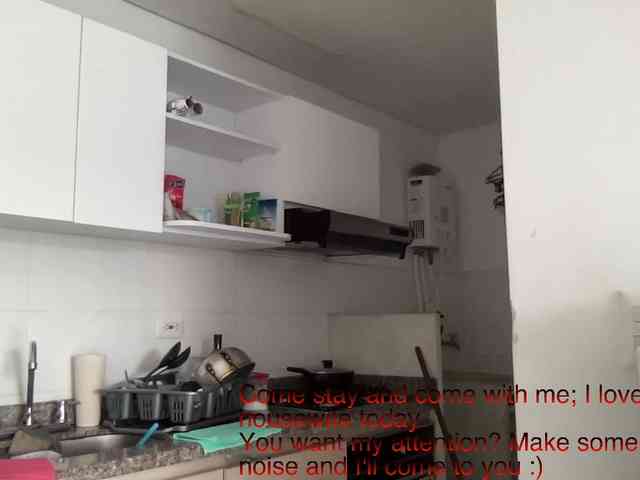 RevySadashiTrue webcam