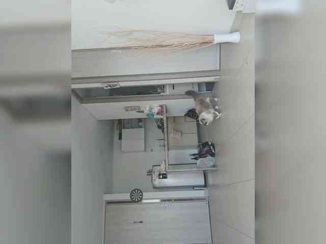 RevySadashiTrue webcam