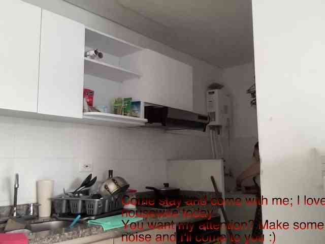 RevySadashiTrue webcam