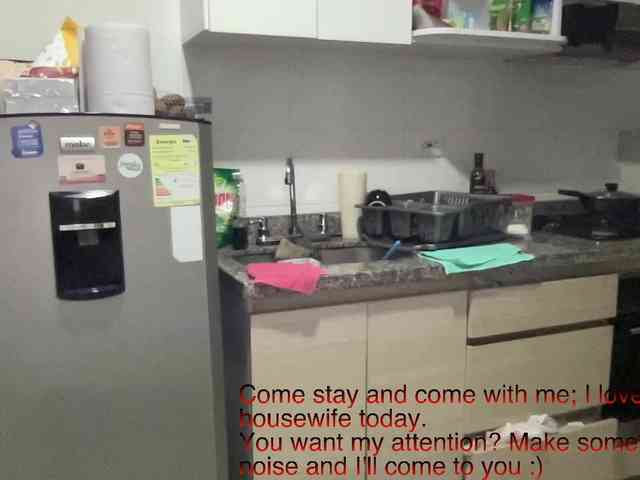 RevySadashiTrue webcam