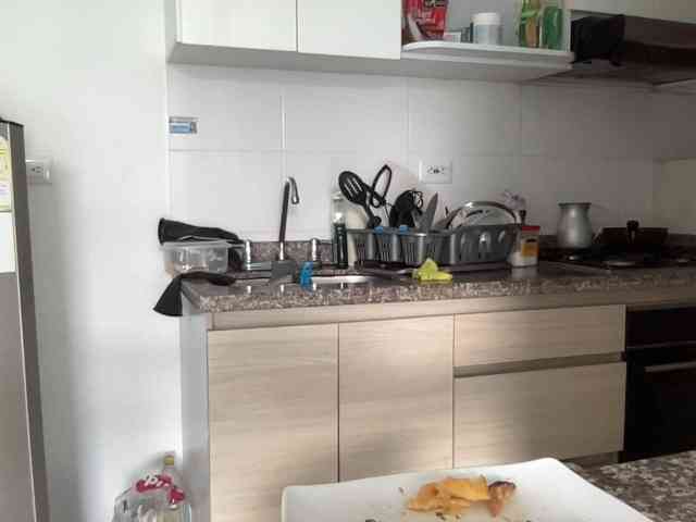 RevySadashiTrue RevySadashiTrue