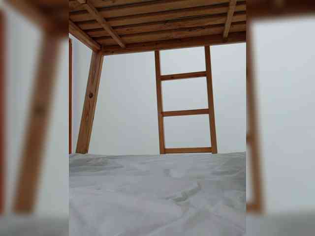 RevySadashiTrue webcam