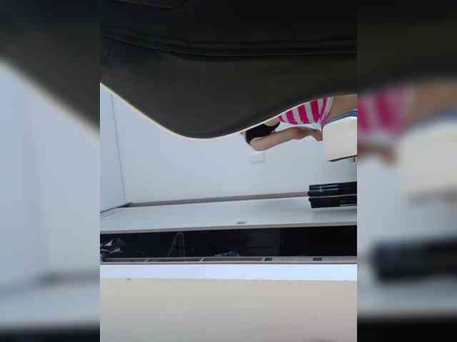 RevySadashiTrue RevySadashiTrue