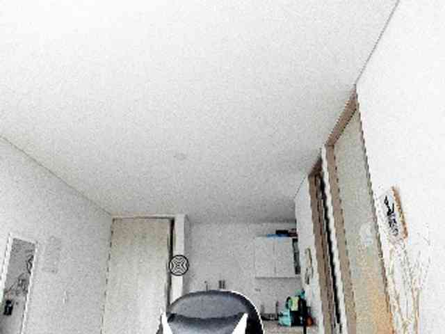 RevySadashiTrue webcam